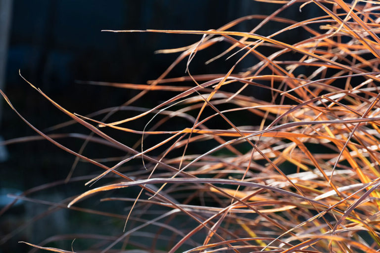 ドローン撮影体験の予約は何日前まで？福岡で安心して参加するために知っておきたいこと